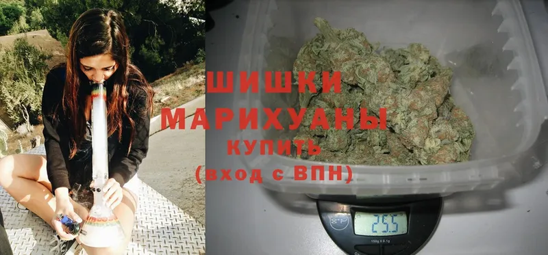 Конопля OG Kush  как найти   Заринск 